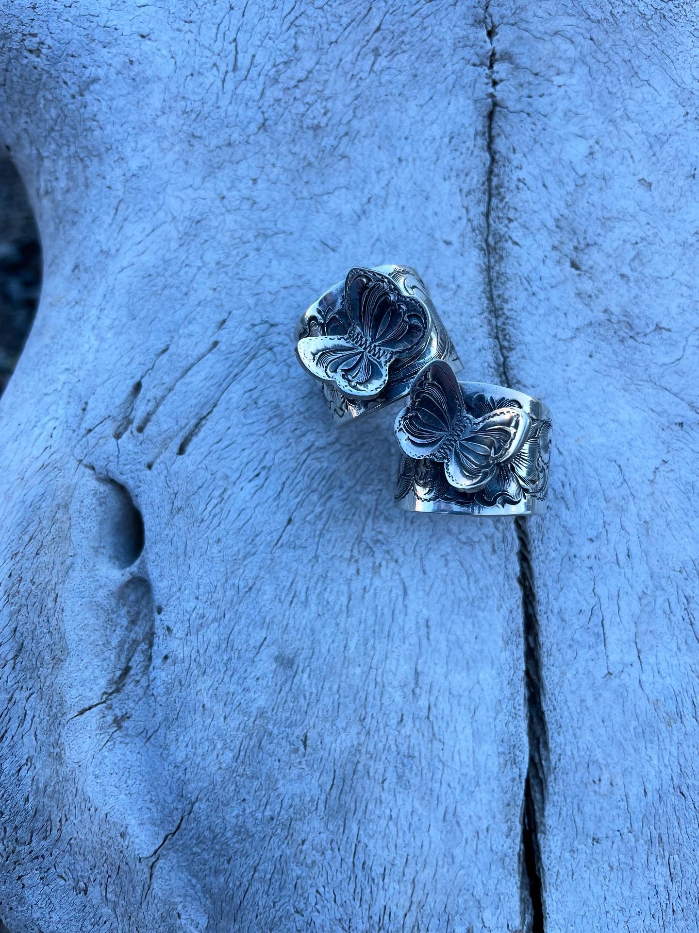 Butterfly Band