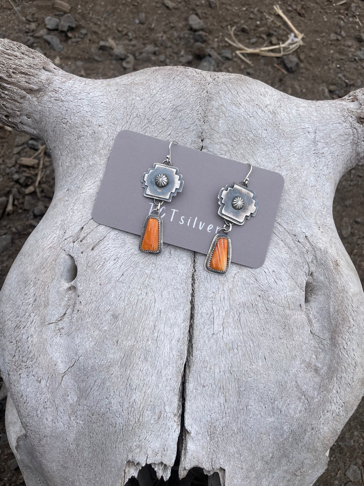 Spiny Southwest Earrings