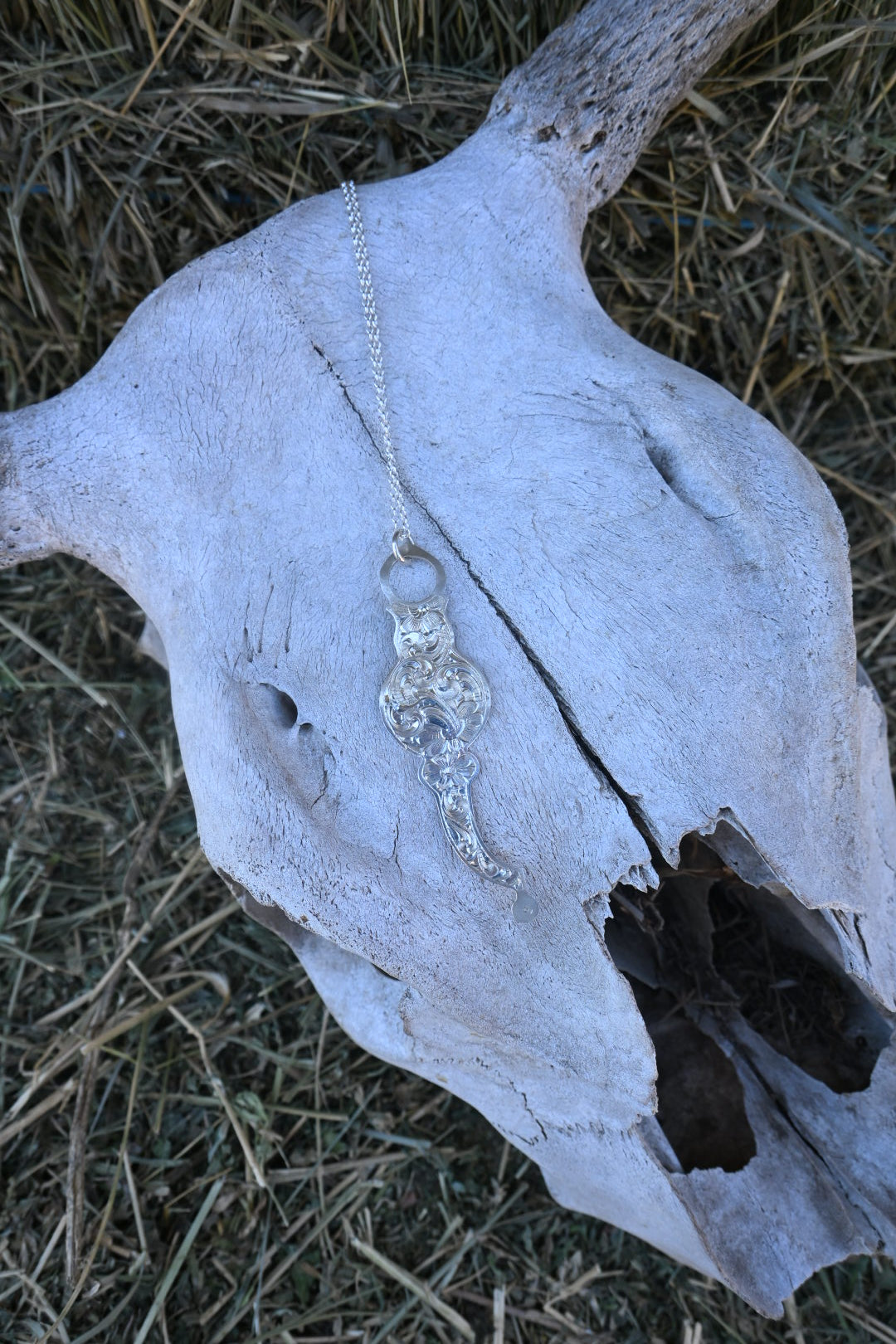 Bridle Bit Necklace
