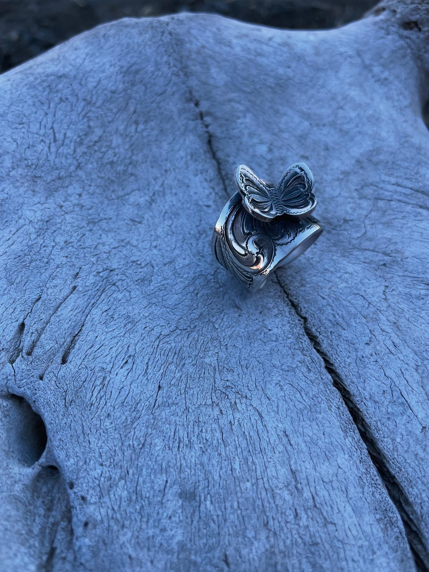 Butterfly Band